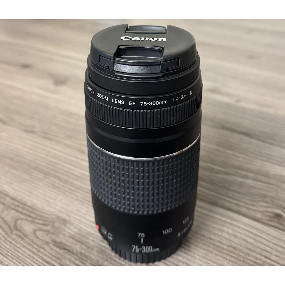 Canon EF 75-300mm 1:4-5.6 III USM Telephoto Zoom Lens